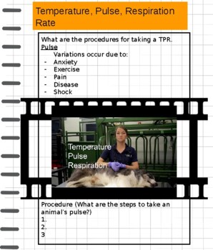 Preview of Vet Health- Temperature, Respiration, & Pulse