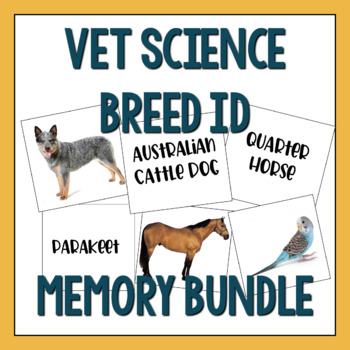 Preview of Vet Science Breed ID Memory Matching Bundle