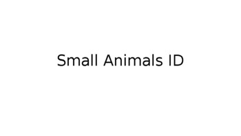 Vet Science CDE - Rabbits & Small Mammals Identification PowerPoint