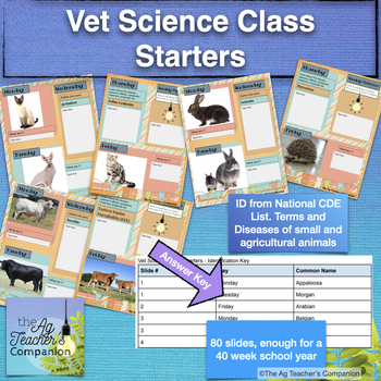 Preview of Vet Science Class Starters - 40 weeks of Bell Ringers