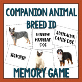 Vet Science Companion Animal Breed ID Memory Game