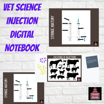 Preview of Vet Science- Injections Digital Interactive Notebook