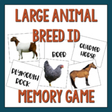 Vet Science Large Animal Memory Matching Game