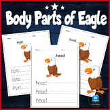 Veteran's Day Writing Body Parts of Eagle
