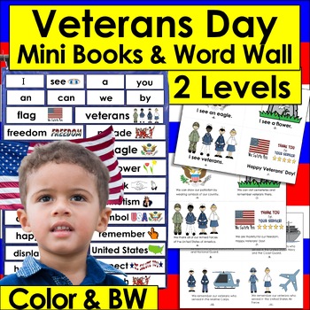 Preview of Veterans' Day Activities:  Mini Books 2 Levels + Illustrated Word Wall Cards