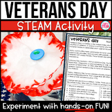 Veterans Day Poppy Activities with Reading Passages and Th