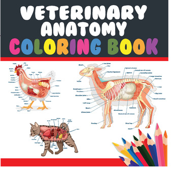 Preview of Veterinary Anatomy Coloring Book : Animal Anatomy and Veterinary Physiology
