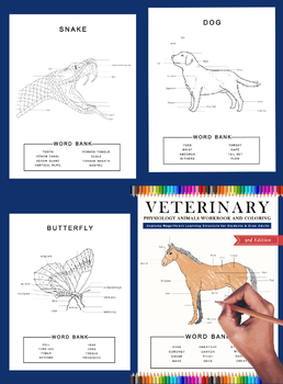 Preview of Veterinary Anatomy Physiology Terminology Coloring & activity with the key