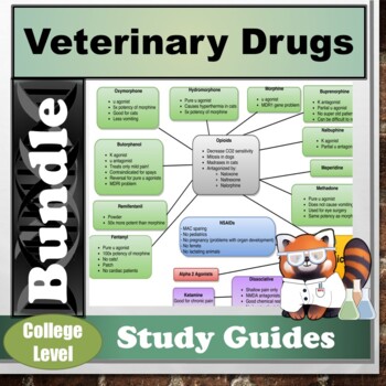 Preview of Veterinary Drug Cheat Sheets Bundle