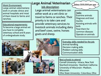 Preview of Veterinary Science Careers Poster