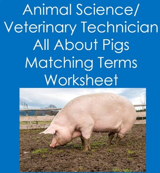 veterinary teaching resources teachers pay teachers