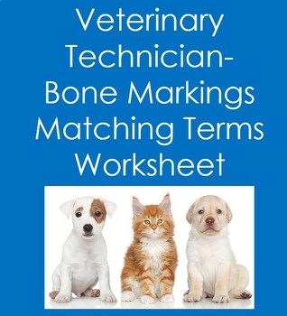 veterinary teaching resources teachers pay teachers