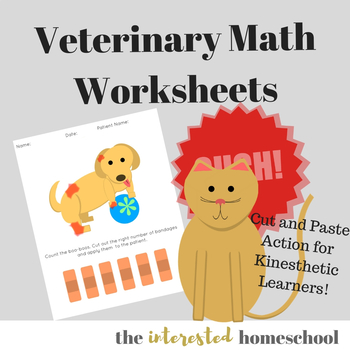 Preview of Veterinary Math Worksheets : Fix the Ouch!