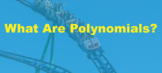 Video Bundle: Polynomials