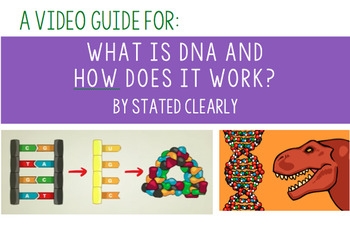 Preview of Video Guide For: What is DNA and How Does it Work? By Stated Clearly