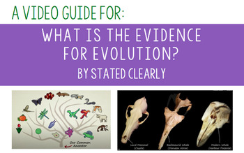 Preview of Video Guide For: What is the Evidence for Evolution? by Stated Clearly