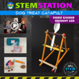 Video Guided STEM Lab for Kids - Dog Treat Catapult