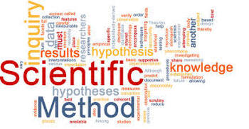 Preview of Video Quiz-Scientific Methods: Theory vs Law