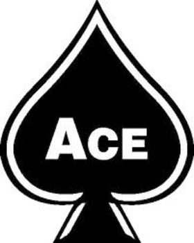 Preview of Video Tool #2-ACE for Multiple Choice Questions