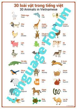 vietnamese animals poster animals vietnamese english poster by