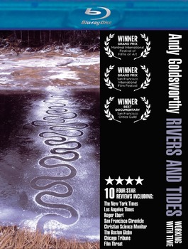 Preview of Viewing Guide -Andy Goldsworthy Rivers and Tides Documentry