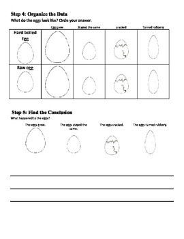 Vinegar Soaked Eggs Experiment and data sheets by MrsTabi | TpT