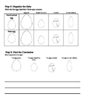 Vinegar Soaked Eggs Experiment and data sheets