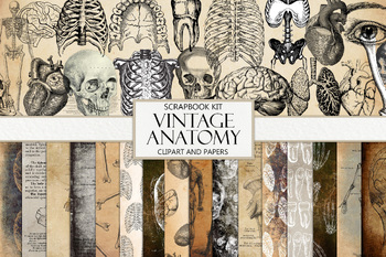 Preview of Vintage Anatomy Scrapbook Kit Clipart and Backgrounds