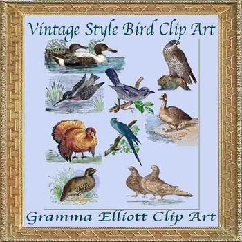 Preview of Bird Realistic Clip Art Vintage Style