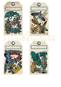 Preview of Vintage Colorful Insect Tags, Dragonflies, Beatles, Moths, Instant Download