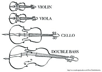 Violin Family (violin, viola, double bass) by MusikMitMarina