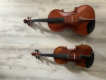 Preview of Violin & Viola: Let's Get Started (free SCORM 1.2 course with 10 modules)