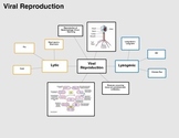 Viral Reproduction Graphic Organizer