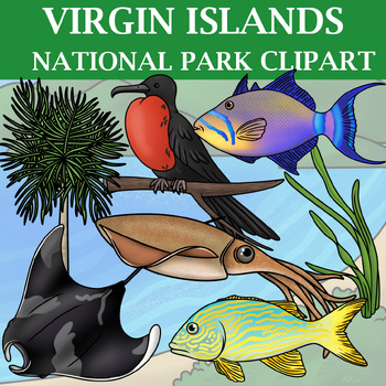 Virgin Islands National Park Clipart - Plants and Animals of the National  Parks
