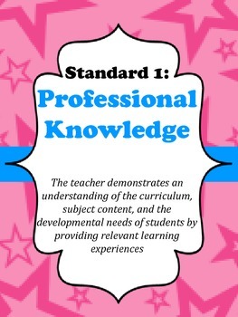 Preview of Virginia Teacher Evaluation Portfolio Pink and Blue