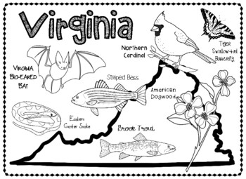 Virginia Cardinal Coloring Page