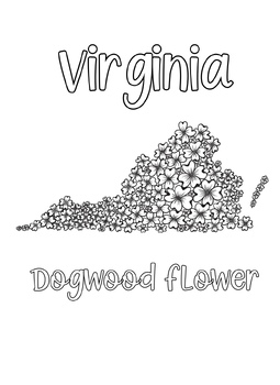 Preview of Virginia state flower coloring sheet