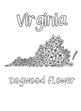 Virginia state flower coloring sheet