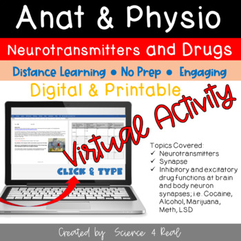 Preview of NERVOUS System -Drug Effects at Synapses VIRTUAL SIMULATION (Digital/Printable)