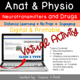 NERVOUS System -Drug Effects at Synapses VIRTUAL SIMULATIO