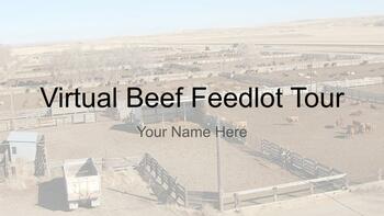 Preview of Virtual Beef Feedlot Tour Worksheet
