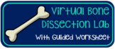 Virtual Bone Dissection Lab
