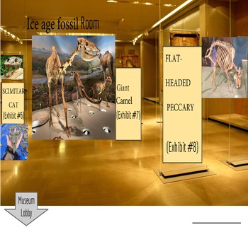 Preview of Virtual Canadian Museum Of Nature Arctic Iceage Extinction and Fossils Exhibits