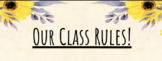 Virtual Class Rules