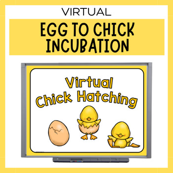 Preview of Virtual Egg to Chick Incubation Presentation | Classroom Chick Hatching