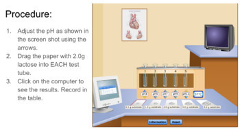 Preview of Virtual Enzyme Lab