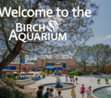 Virtual Feild Trip to Birch Aquarium