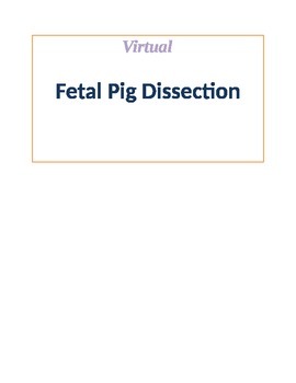 Preview of Virtual Fetal Pig Dissection