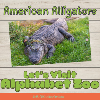 Preview of Virtual Field Trip- Alphabet Zoo: American Alligator, Presentation Worksheets