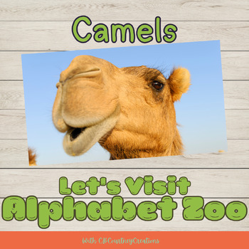 Preview of Virtual Field Trip- Alphabet Zoo: Camels, Presentation Worksheets